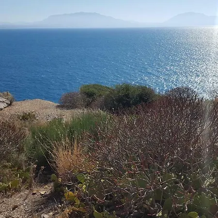 Mediterranean
